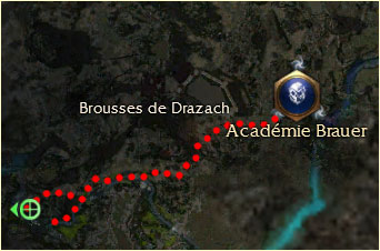 Abîme (zone élite 
			luxon)